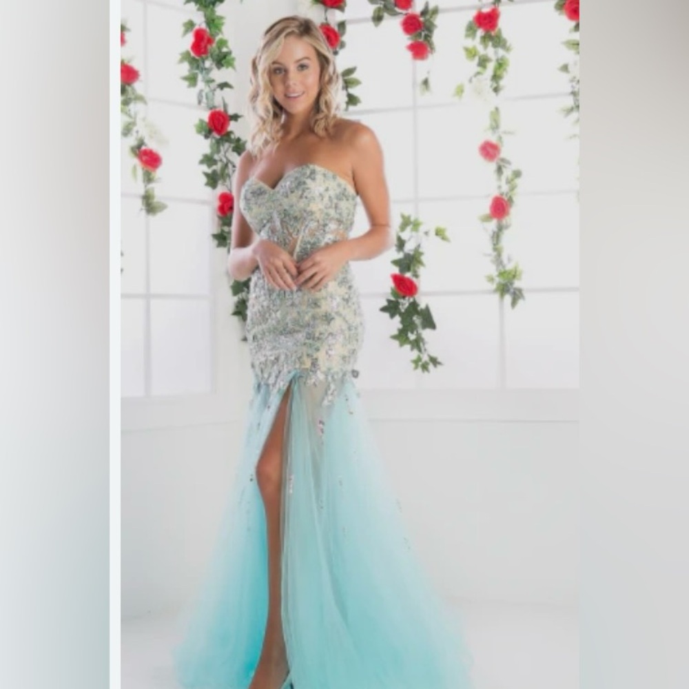 Brand new Cinderella Divine long strapless dress